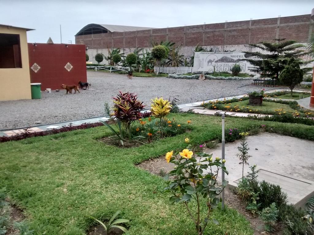 Motel Sahara Suites Barranca Extérieur photo