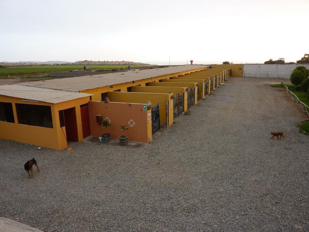 Motel Sahara Suites Barranca Extérieur photo